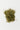 A pile of dried alfalfa leaves on a white background.