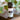 An 8ml (1 dram) amber glass bottle of Megan & Co. Chest Re-Leaf essential oil on a wooden surface with blurred eucalyptus leaves, featuring a respiratory-support blend of peppermint, rosemary, and lemon.