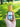 A hand holding the Megan & Co. Purify room and body spritzer bottle with a wooden cap against a soft, blurry green grassy nature background.