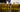 Person filling dropper bottles with a yellow liquid in a laboratory setting.
