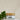A jar of Megan & Co. Adaptogen Boost Herbal Powder placed on a white surface with a green leafy herb in the background.