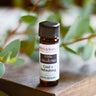 MEGAN & CO. brand 8ML vial labeled Cool + Collected sits atop a wooded table with greenery in the background. 