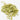A cluster of whole, dried green oat tops (milky oats) with their husks intact, scattered on a clean white background.