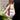 Bug Ban, Spray (50mL): Natural Insect Repellant
