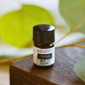 A 2.3ml amber glass vial of Megan & Co. Focus essential oil on a wooden surface with a blurred leaf background, formulated with organic rosemary, frankincense, and clary sage for concentration.