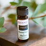 An 8ml amber glass bottle of Megan & Co. Focus essential oil on a wooden surface with a blurred leaf background, featuring organic rosemary, frankincense, cypress, and clary sage.