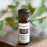An 8ml amber glass bottle of Megan & Co. Ginger Rose essential oil on a wooden surface with a blurred leaf background, containing organic Rose Geranium, Rose Absolute, Ginger CO2, Cinnamon, and Rosemary.