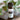 An 8ml (1 dram) amber glass bottle of Kid's Chest Re-Leaf essential oil on a wooden surface with a blurred leaf background, featuring kid-safe herbs like Lavender, Thyme, and Spearmint.