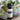 An 8ml (1 dram) amber glass bottle of Sweet Dreams essential oil on a wooden surface with a blurred leaf background, featuring calming Organic Lavender, Chamomile, and Melissa.