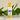 Silk Lip Balm (6g) – Hydrating + Nourishing Lip Care
