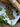 Dried herbs on a white plate with a rustic background