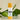 Velvet Lip Balm (6g) – Rich Botanical Hydration + Lip Care