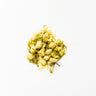 A cluster of delicate, creamy-white dried jasmine flower buds and small green stems, centered on a clean white surface.