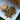 Ginger root and dried herbs on a white plate with a natural background