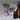 Bug Ban Essential Oil (5/8th Dram – 2.3mL) – Botanical Bug Repellant