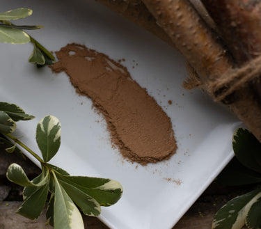 A small amount of brown powdered adaptogen supplement is spread out on a white plate, with green and brown leaves arranged around it.