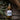 Happy Beard Oil